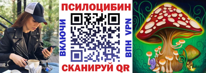 Псилоцибиновые грибы Psilocybe  Скопин 